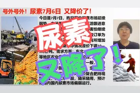 尿素价格天天报！7月6日  又降价了吗？视频封面