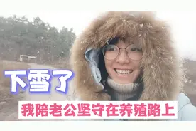 安徽两口子创业养鸡，大雪天依然坚守在山野中！冬天养芦花鸡不易