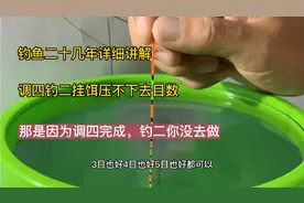 钓鱼二十几年调四钓二精准调漂，挂饵压不下去目数，钓二你没去做视频封面