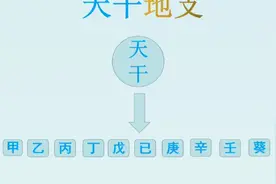 甲乙丙丁戊视频封面