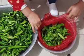 用小辣椒，小黄瓜，泡咸菜制作方法，分享给大家，谢谢大家观看