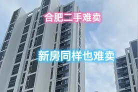 合肥新房太难了！视频封面