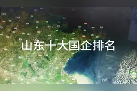 山东十大国企排名视频封面