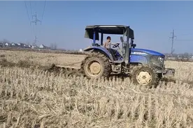 湖北农村冬天开始犁地了，今年的深耕补贴不好拿，一天才翻30亩视频封面