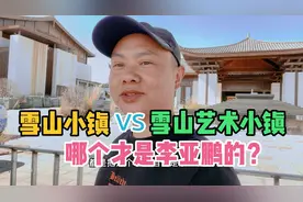 李亚鹏35亿打造的丽江雪山小镇，并没有烂尾，很多搞艺术的入驻视频封面