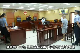 受贿超3.38亿，海垦控股原董事长杨思涛被判死缓，二审维持原判！视频封面