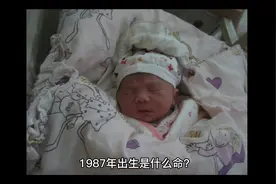 1987年属兔的什么命视频封面