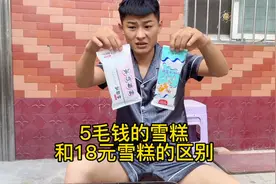 18元的雪糕和5毛的有什么区别？把两个包装调换，媳妇能吃出来吗视频封面
