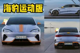 比亚迪海豹运动版全网首发！夸张套件，撞色设计，拿捏潮酷