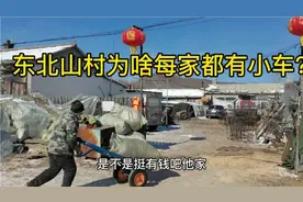 东北农村都很富裕吗？为啥几乎每家都买车？是需要还是攀比要面子视频封面