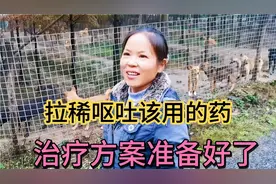 上次说的五个引起狗狗拉稀呕吐的病，具体怎么用药，治疗方案来了视频封面