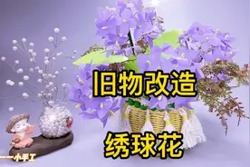 废弃的购物袋这么玩……简单几步改造一束不凋谢的装饰花视频封面