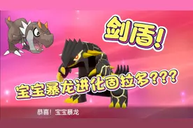 宝可梦剑盾，一般人我不告诉，宝宝暴龙进化固拉多