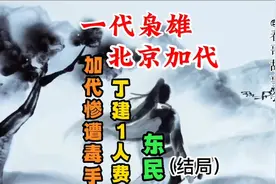 北京加代惨遭毒手，丁健单枪匹马费东民（大结局）视频封面