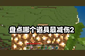 我的世界：盘点哪个道具最减伤2