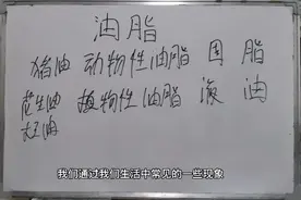 初中化学：什么是油脂？油脂的作用是什么？你为什么会变胖？