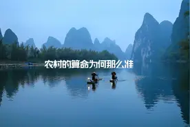 农村的算命为什么准视频封面