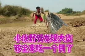 国外小伙野外割草，土里却钻出了“大货”，这可把他激动坏了视频封面