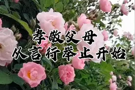 父母叫我们时，我们不要不理不睬，叫我们去做的事情，立即去做