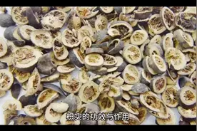 枳实的功效与作用