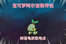 switch《宝可梦阿尔宙斯传说》草苗龟的抓取地点视频封面