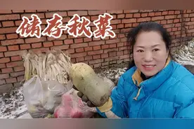 农家过冬备了很多秋菜，用这种方法储存秋菜，能吃一冬天不糠不烂