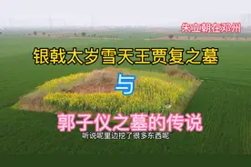 邓州银戟太岁天王贾复之墓光武帝刘秀的大将军，民间说是郭子仪墓