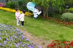 20个月的小宝宝打架全过程。😂😂