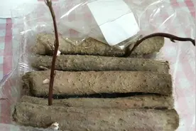 长了芽的山药还能吃吗视频封面