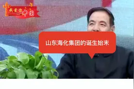 山东海化集团诞生始末视频封面