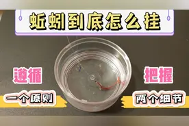 蚯蚓到底该怎么挂钩？遵循一个原则，把握两个细节，不愁钓不到鱼