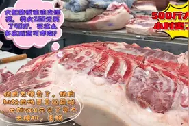 500斤大肥猪两小时卖四头，土豪大姐花500元买整块大腰排，真霸气