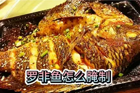 好吃不贵的炭烤罗非鱼，配方来了，学会就摆摊视频封面