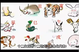 十二生肖的顺序表