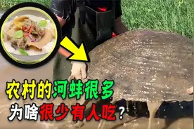 啥都吃的中国人，为啥对肉多的河蚌难下口？它是有虫还是有毒？