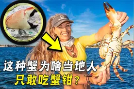 这种螃蟹，为何美国人只敢吃蟹钳?吃一整只还会被“判刑”?