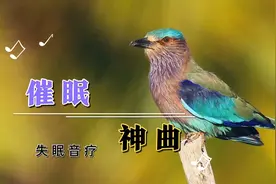 『十大助眠神曲』适合睡前听的纯音乐，放松心情，快速入睡