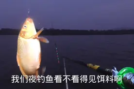 夜钓鱼看不见饵？其实鱼找饵料不仅仅只靠眼睛，了解后钓鱼更容易视频封面
