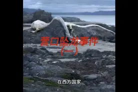 1934年“营口坠龙”事件：是真是假？老人上交龙骨！视频封面