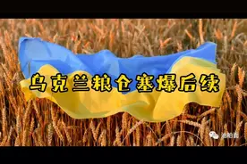 乌克兰粮仓塞爆后续视频封面