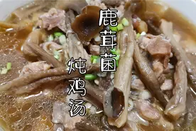 超级简单营养的“鹿茸菌炖鸡汤”，女士的美容院，男士的加油站！