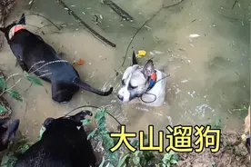 玩大山太危险了，一个几百斤的石头砸了下来，差一点就出大事了视频封面