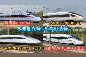 假期快乐，中国铁路复兴号、和谐号动车大合集，颜值大赏谁更帅？视频封面