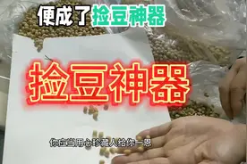 记录捡豆子的过程，悟出人生真谛