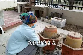 根据焖木炭的原理，用陶土花盆焖制草木灰，环保自制。