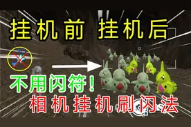 不用闪符！最新相机挂机刷闪法！【宝可梦朱紫】