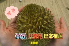 花38元买了一个托曼尼巴掌榴莲，打开看看是报恩的还是翻车了？
