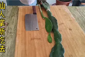 仙人掌新吃法！好吃有营养！视频封面