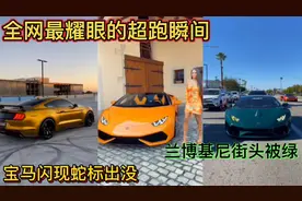 全网最耀眼的超跑瞬间！宝马闪现蛇标出没！兰博基尼街头被绿！视频封面