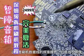80元购买的斐讯R1智能音箱，保姆级拆机，刷机教程，完美复活。